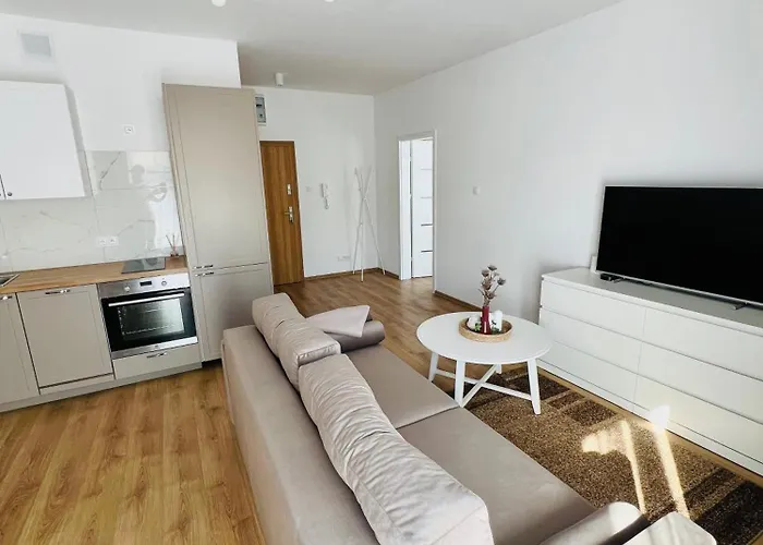 Bialy Zagiel Władysławowo